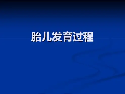 胎儿发育过程ppt课件