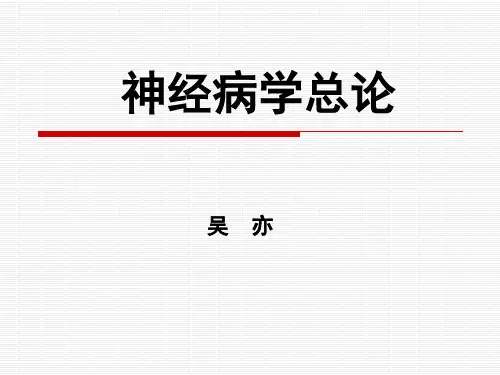 神经病学课件：总论