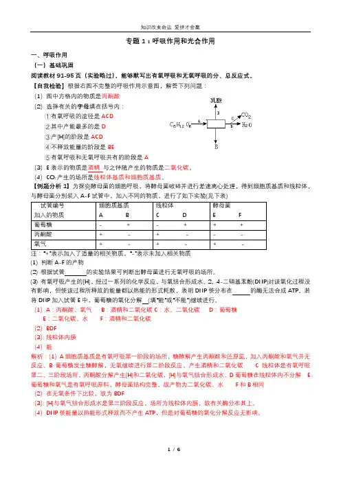 高三生物专题复习1 - 呼吸作用与光合作用 - 解析