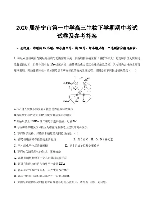 2020届济宁市第一中学高三生物下学期期中考试试卷及参考答案