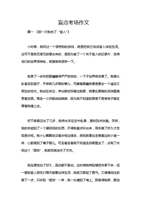 盲点考场作文