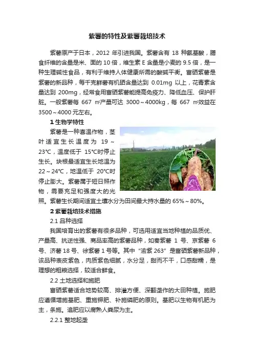 紫薯的特性及紫薯栽培技术