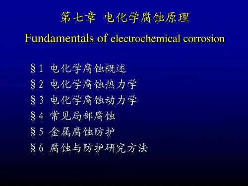 第七章电化学腐蚀