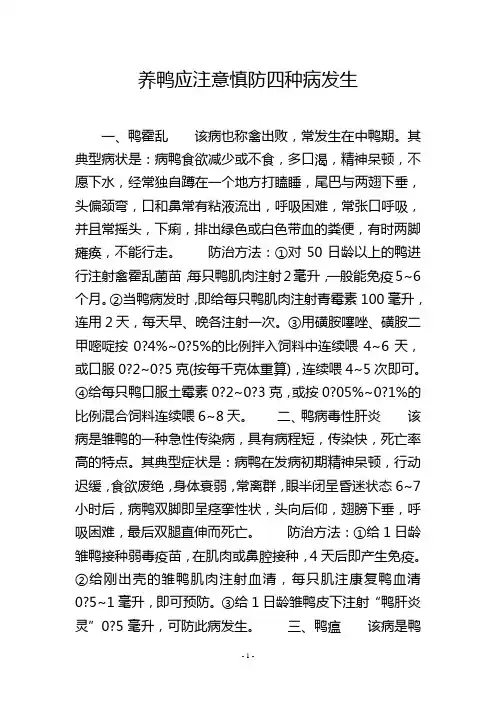 养鸭应注意慎防四种病发生