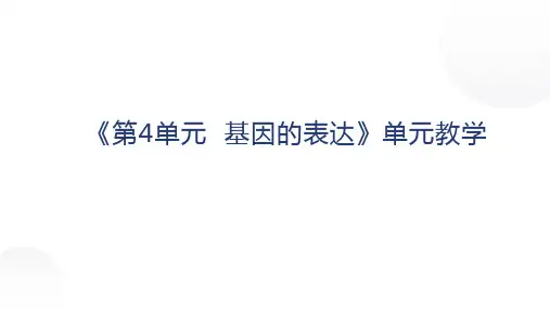 第四章 基因的表达单元说课-2023-2024学年高一下学期生物人教版必修二
