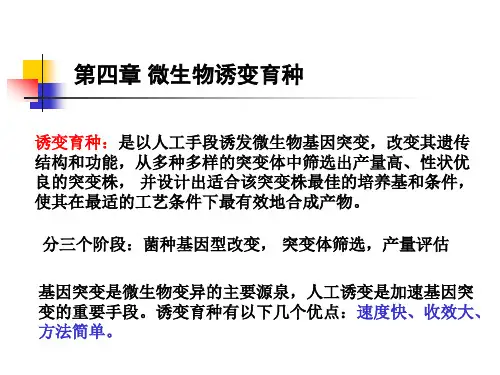 微生物诱变育种