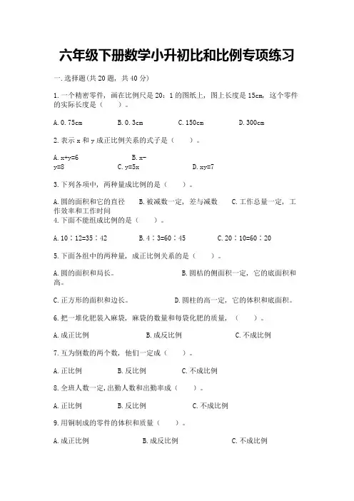 六年级下册数学小升初比和比例专项练习加答案(精练)