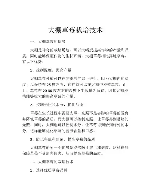 大棚草莓栽培技术