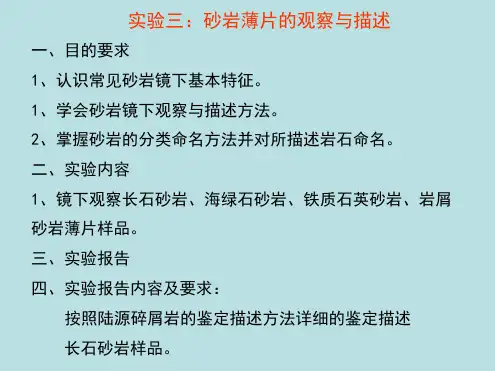 沉积岩石学 实验三砂岩薄片鉴定
