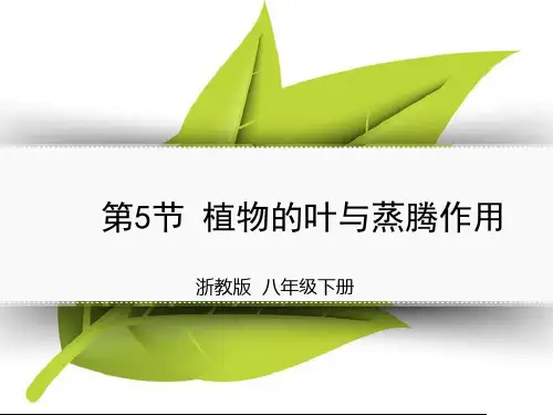 浙教版科学八年级下册_《植物的叶和蒸腾作用》第1课时优教课件