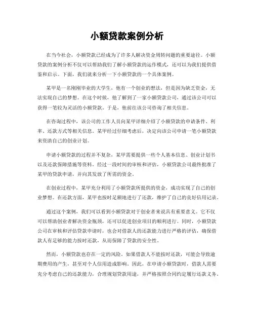小额贷款案例分析