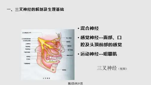 颅神经的定位诊断