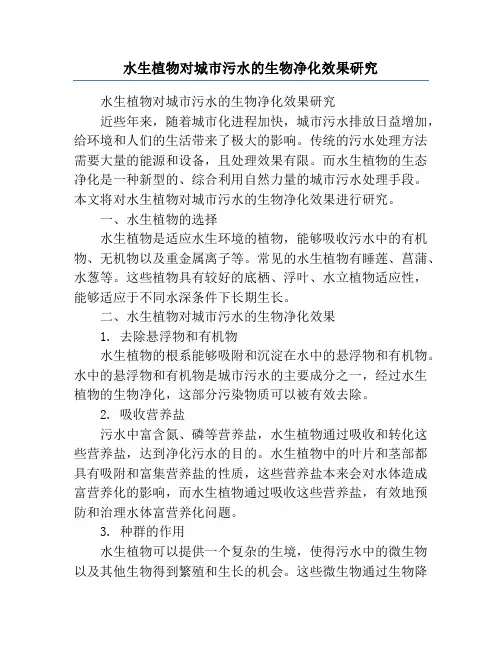 水生植物对城市污水的生物净化效果研究