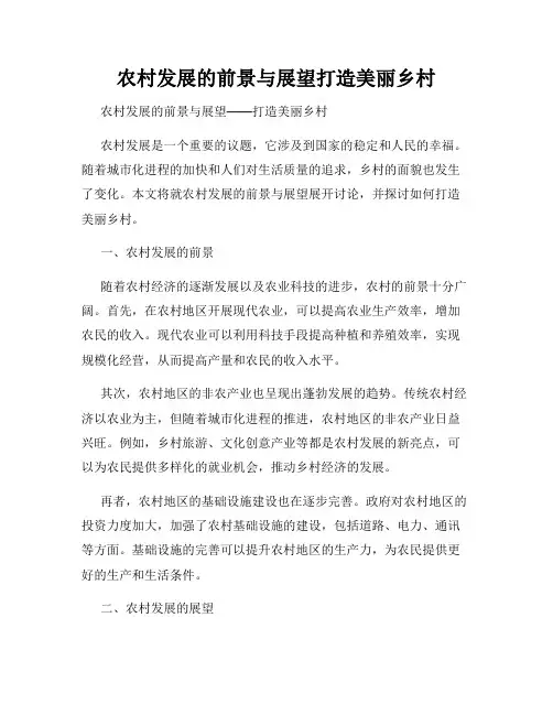 农村发展的前景与展望打造美丽乡村