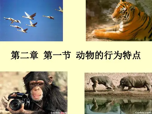 第四单元 第二章 第一节动物的行为特点PPT课件