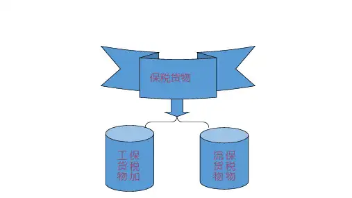 保税进出口货物的报关程序