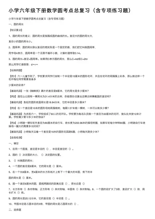 小学六年级下册数学圆考点总复习（含专项练习题）