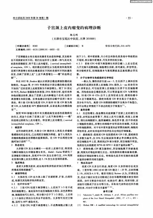 子宫颈上皮内瘤变的病理诊断