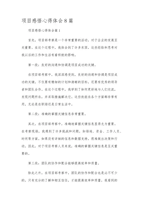 项目感悟心得体会8篇