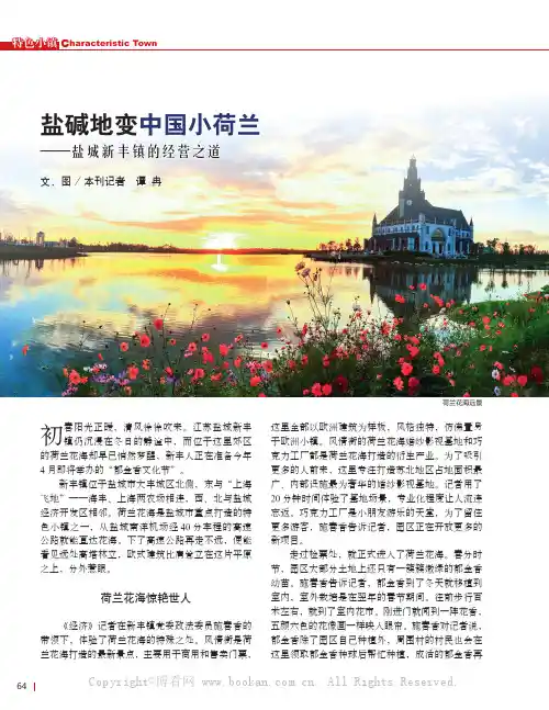 盐碱地变“中国小荷兰”——盐城新丰镇的经营之道