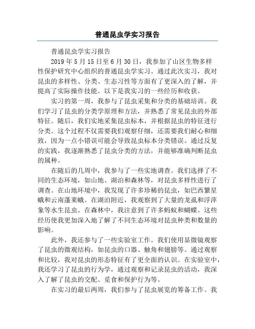 普通昆虫学实习报告