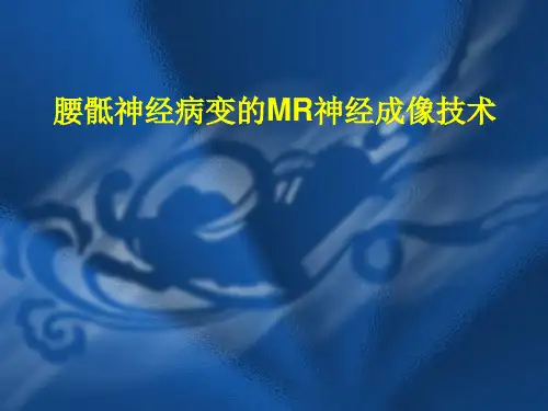 腰骶神经MR成像技术