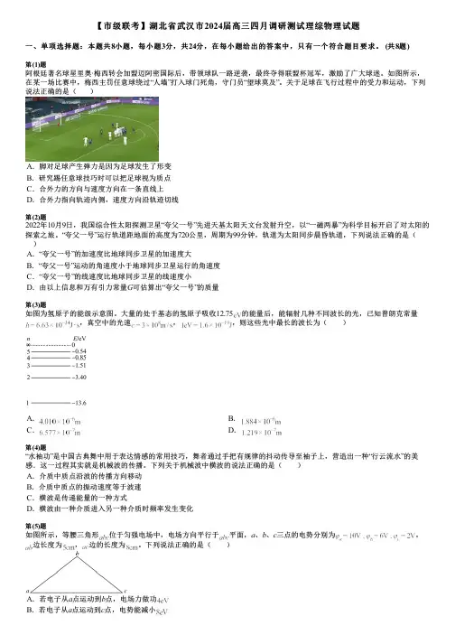 【市级联考】湖北省武汉市2024届高三四月调研测试理综物理试题