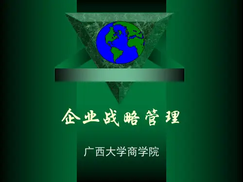 二三流企业：侧翼战整理.ppt