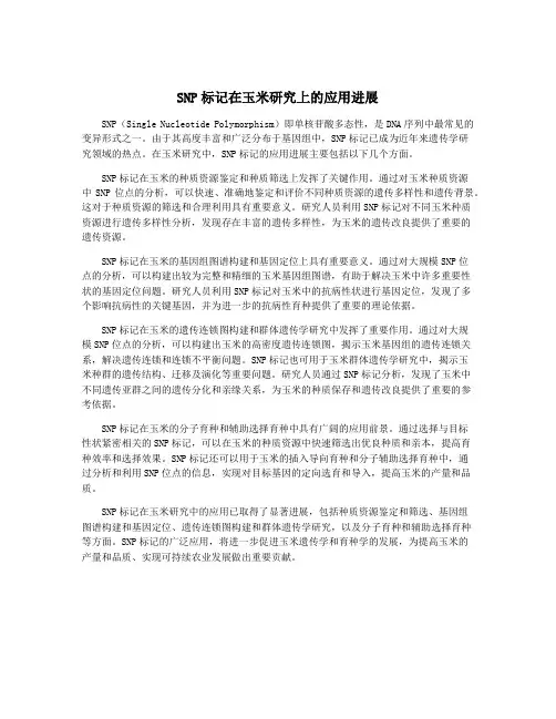 SNP标记在玉米研究上的应用进展