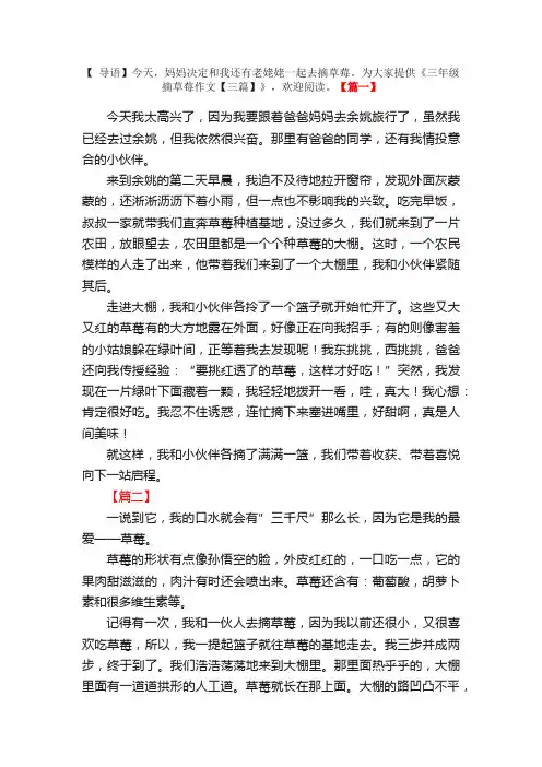 三年级摘草莓作文【三篇】