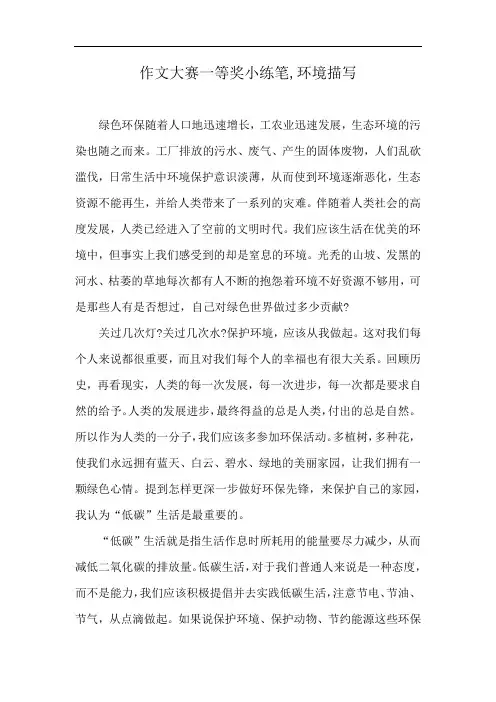 作文大赛一等奖小练笔,环境描写