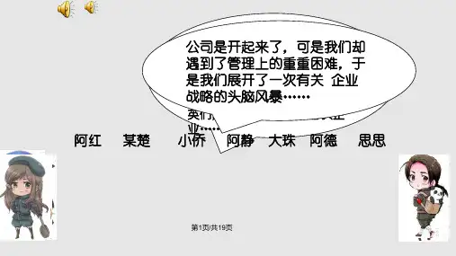 企业战略类型的分类PPT课件