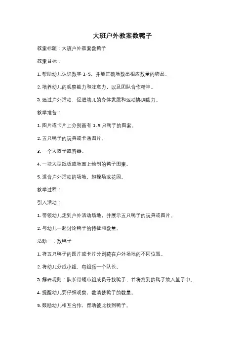 大班户外教案数鸭子