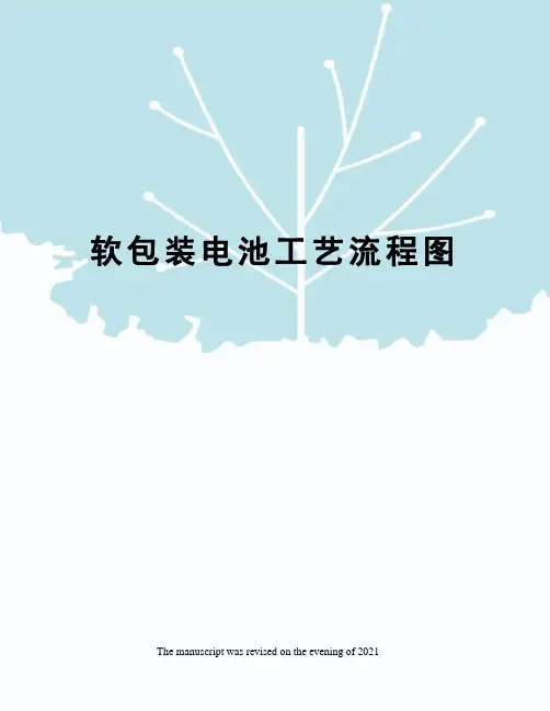 软包装电池工艺流程图