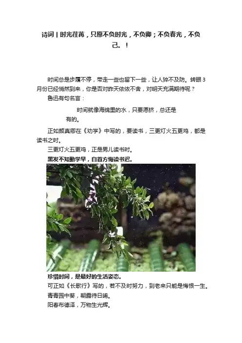 诗词丨时光荏苒，只愿不负时光，不负卿；不负春光，不负己。！