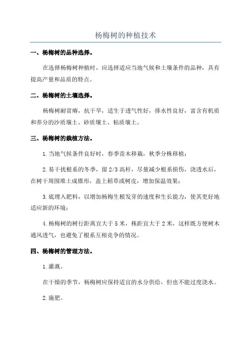杨梅树的种植技术