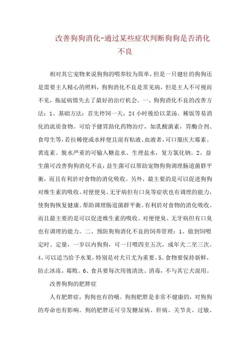 改善狗狗消化-通过某些症状判断狗狗是否消化不良