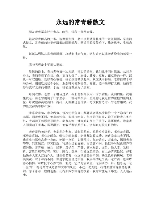 永远的常青藤散文