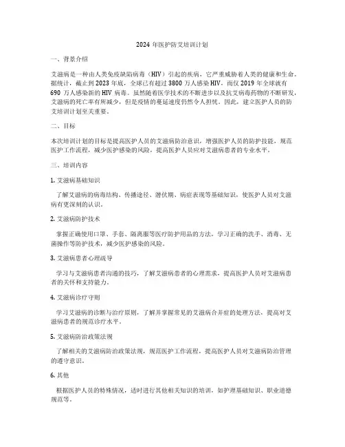 2024年医护防艾培训计划