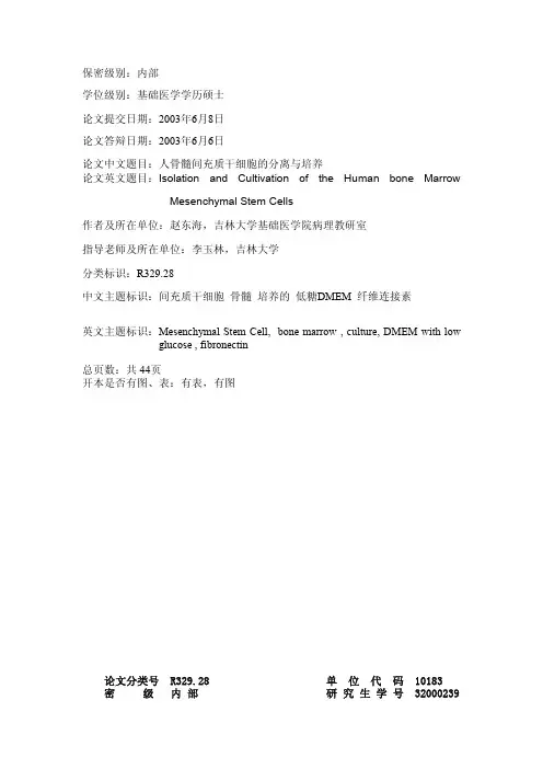 人骨髓间充质干细胞的分离与培养