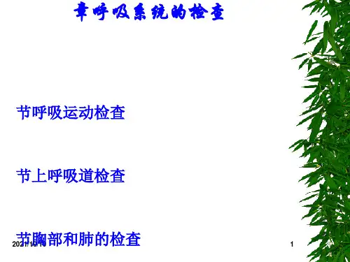 呼吸系统的临床检查