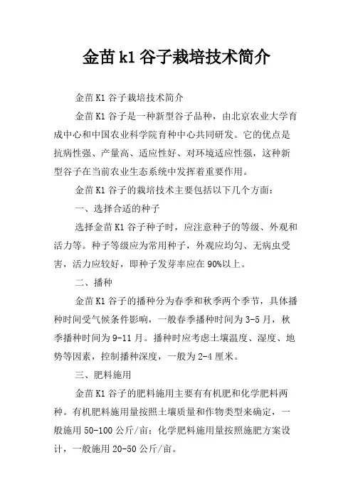 金苗k1谷子栽培技术简介