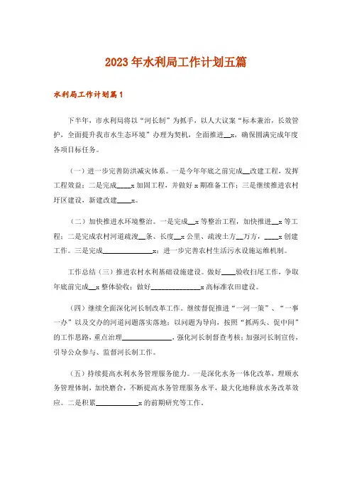 2023年水利局工作计划五篇