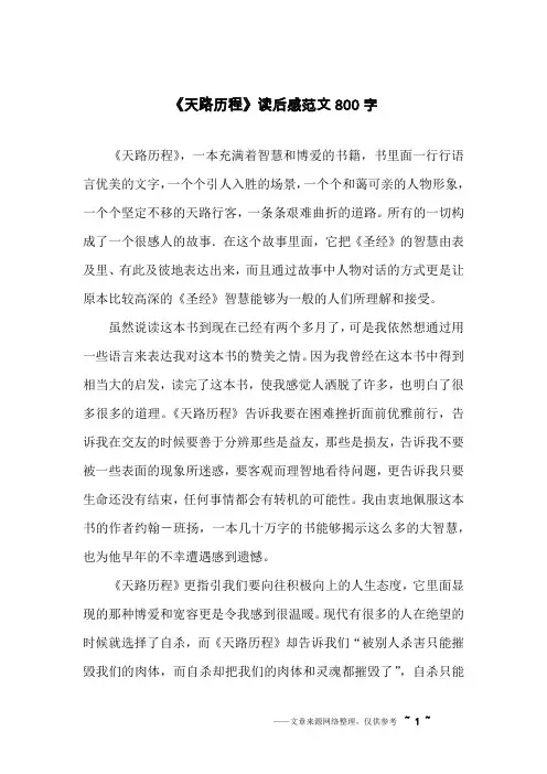 《天路历程》读后感范文800字
