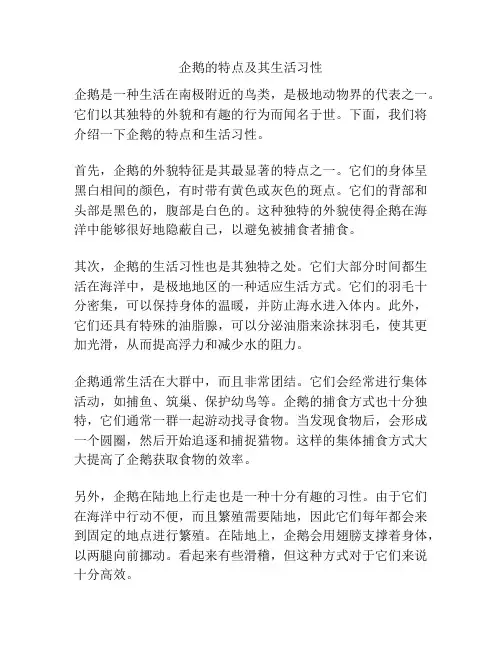 企鹅的特点及其生活习性