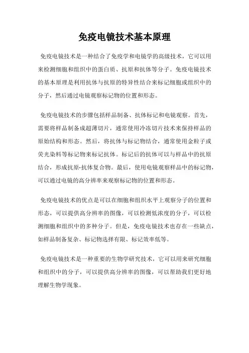 免疫电镜技术基本原理