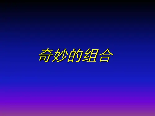 五年级上美术奇妙的组合