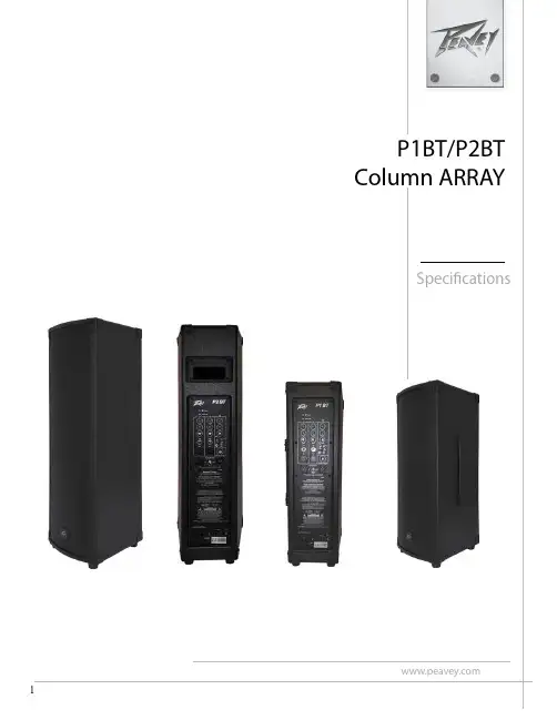 Peavey P1BT P2BT 耐用蓝牙扬声器说明书
