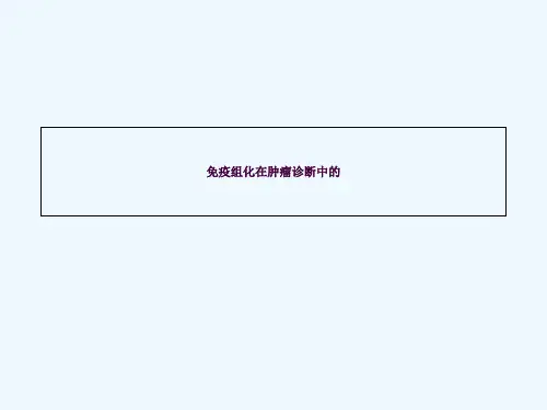 免疫组化在肿瘤诊断的应用ppt课件