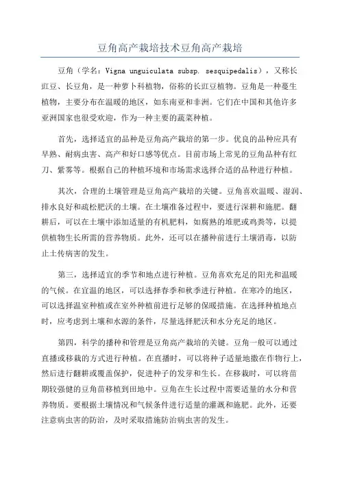 豆角高产栽培技术豆角高产栽培